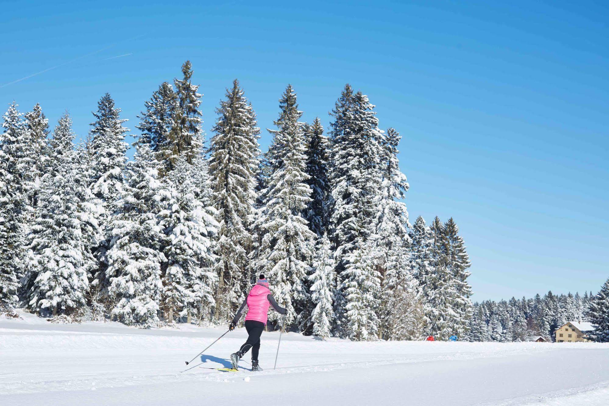 Allgaeu Sonne Oberstaufen Eksteriør bilde